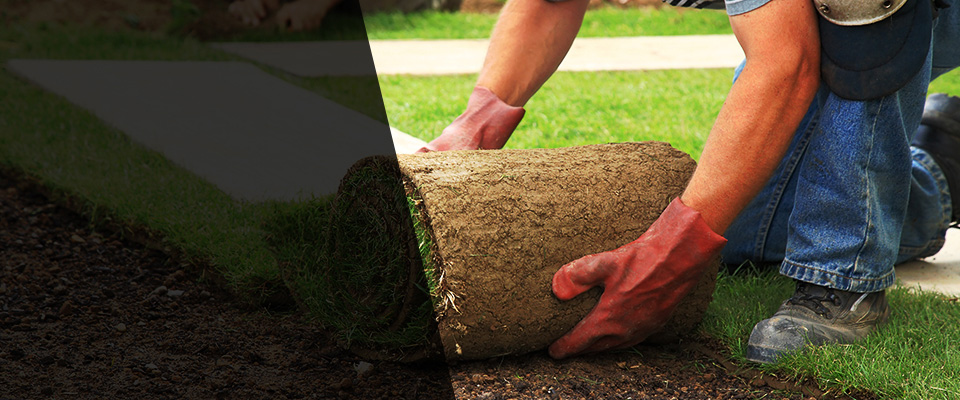 Corpus Christi Landscapers